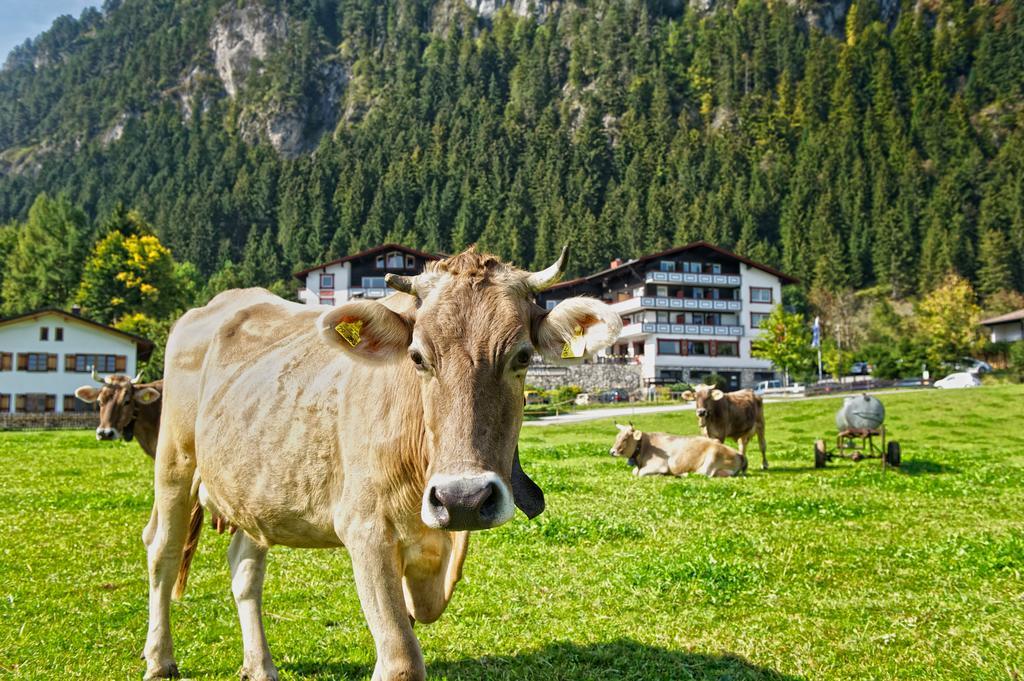 Familotel Bavaria Pfronten-Familien Hotel-Alles Inklusive Konzept Eksteriør billede